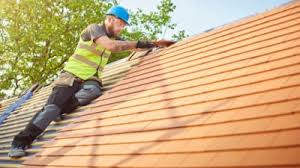 Best Roof Moss and Algae Removal  in Fountain Inn, SC